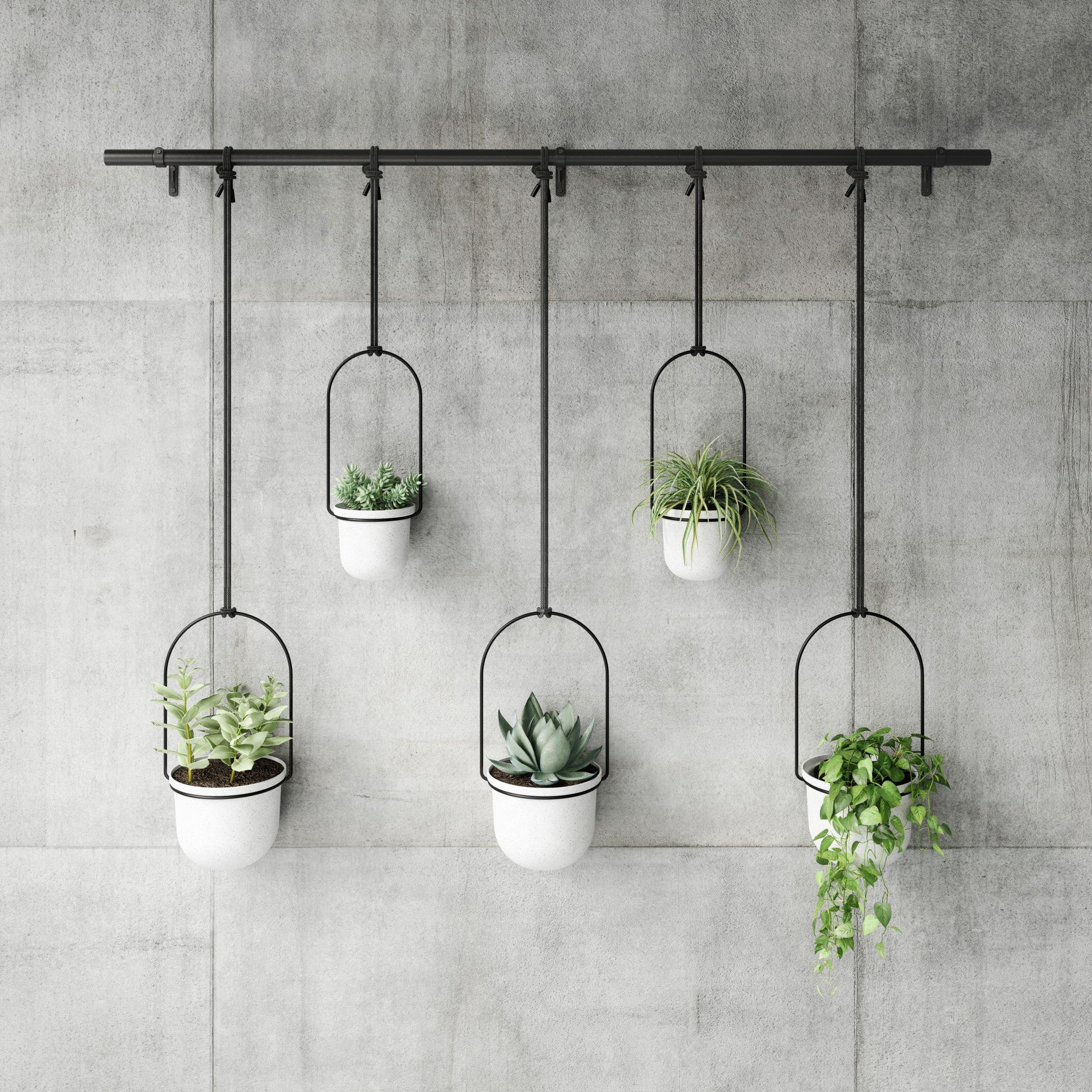Jardinières suspendues Triflora, lot de 5