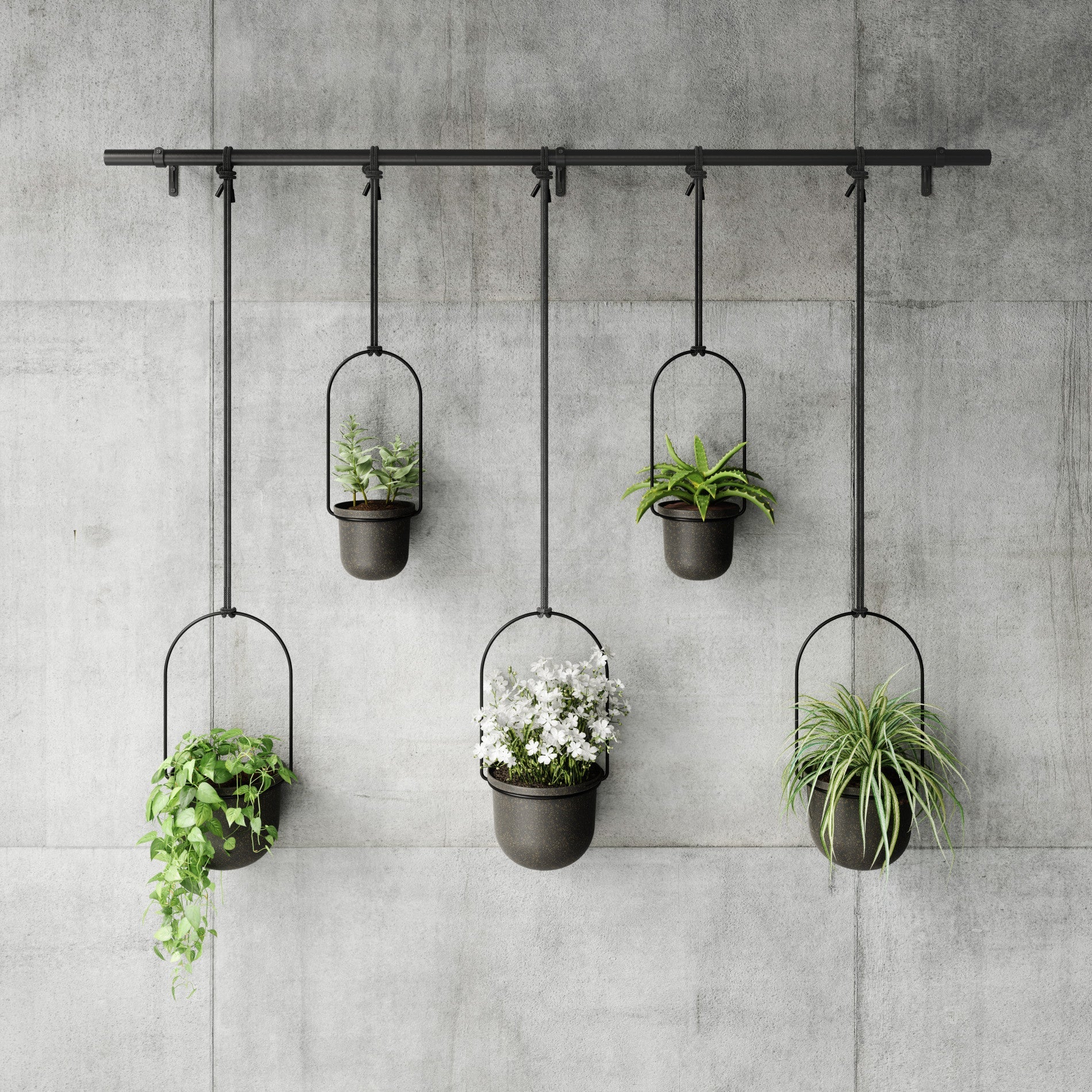 Jardinières suspendues Triflora, lot de 5