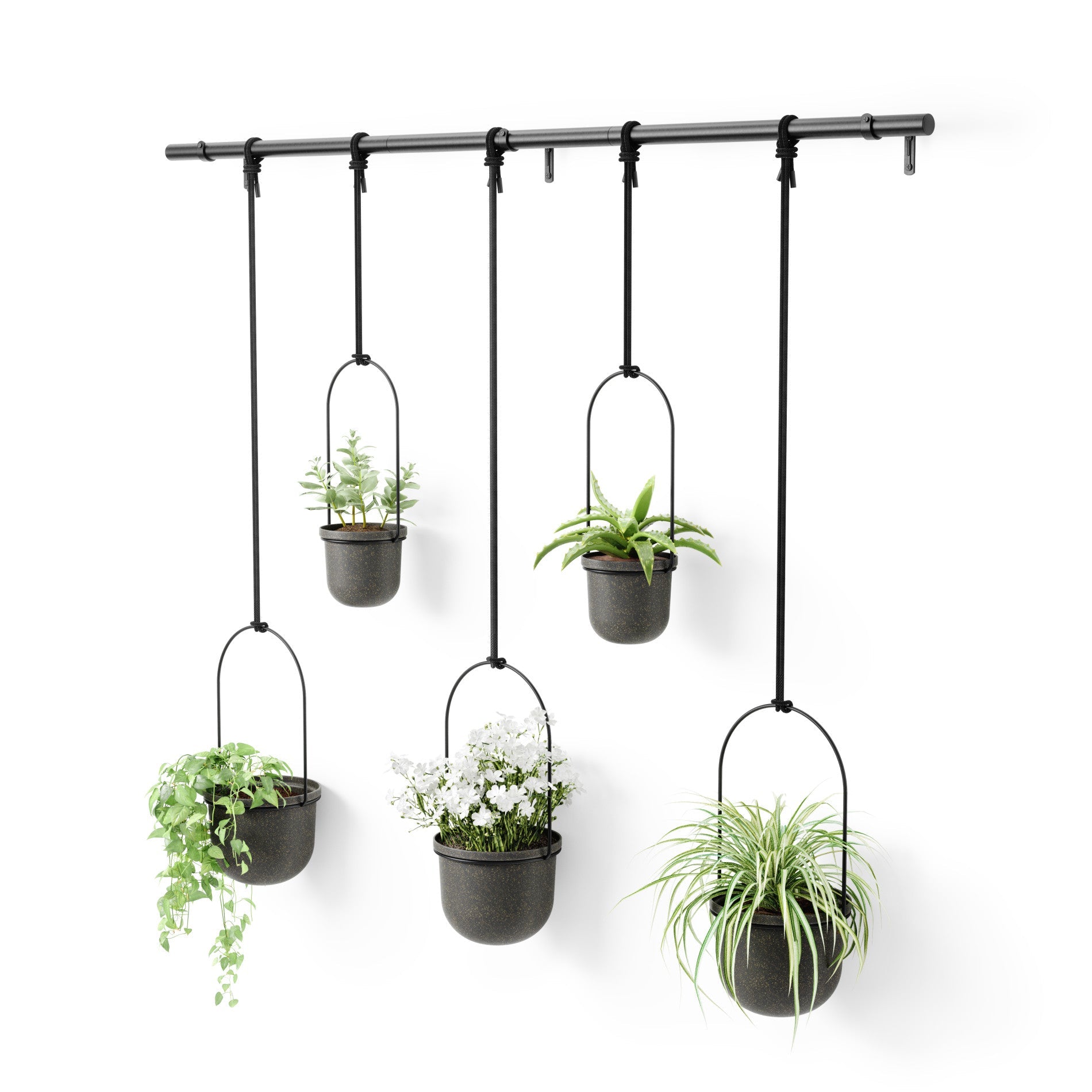 Jardinières suspendues Triflora, lot de 5